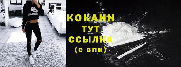 прущие грибы Армянск