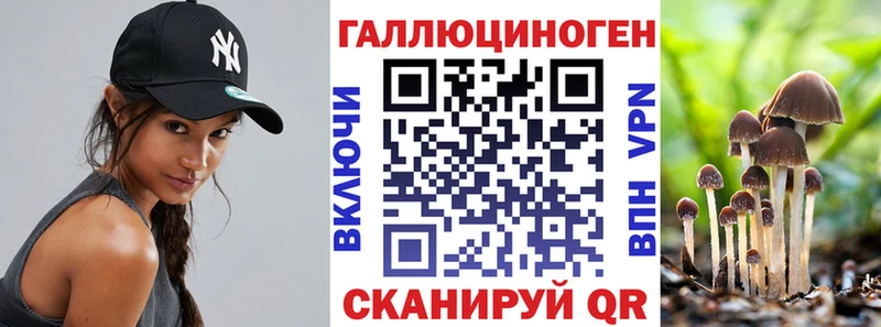 Купить где  Сухиничи  Псилоцибиновые грибы мухоморы 